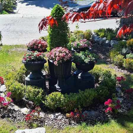 Villa Bellissimo Frantallia - Luxury B&B Galleriseum-2