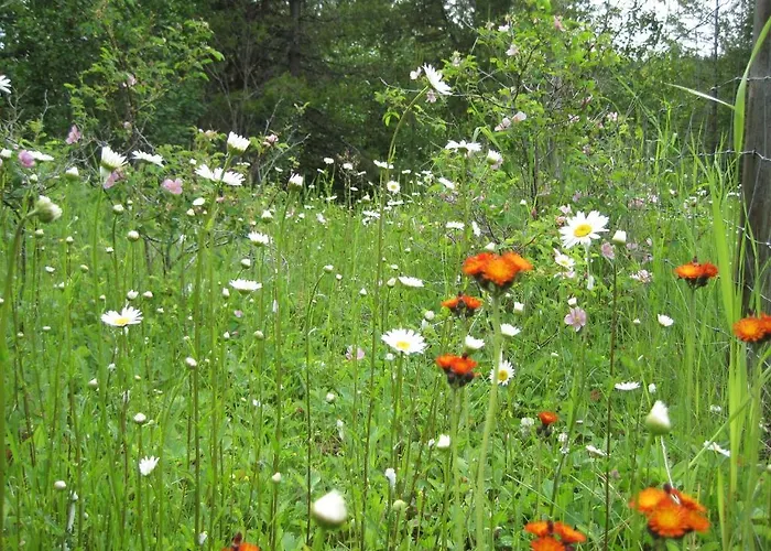 Wild Nature B&B Kelowna